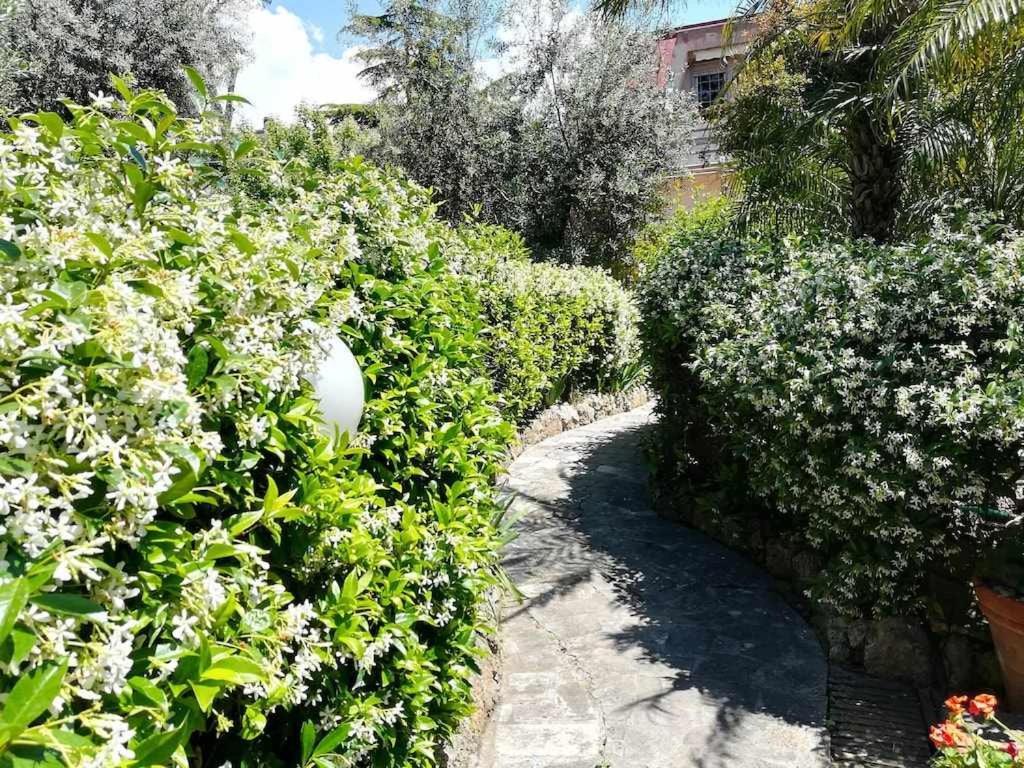 Casa Dinky Attico Con Terrazza Vista Mare Appartement Formia Buitenkant foto